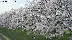 ochiai1-20250427131035.jpg