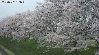 ochiai1-20250427133038.jpg