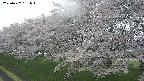 ochiai1-20250427151033.jpg