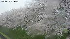 ochiai1-20250427163034.jpg