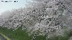 ochiai1-20250427164037.jpg