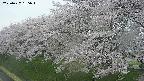 ochiai1-20250427165034.jpg