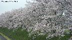ochiai1-20250427172035.jpg