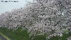 ochiai1-20250427175036.jpg