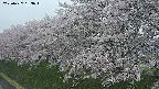 ochiai1-20250427183037.jpg