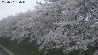 ochiai1-20250427184030.jpg