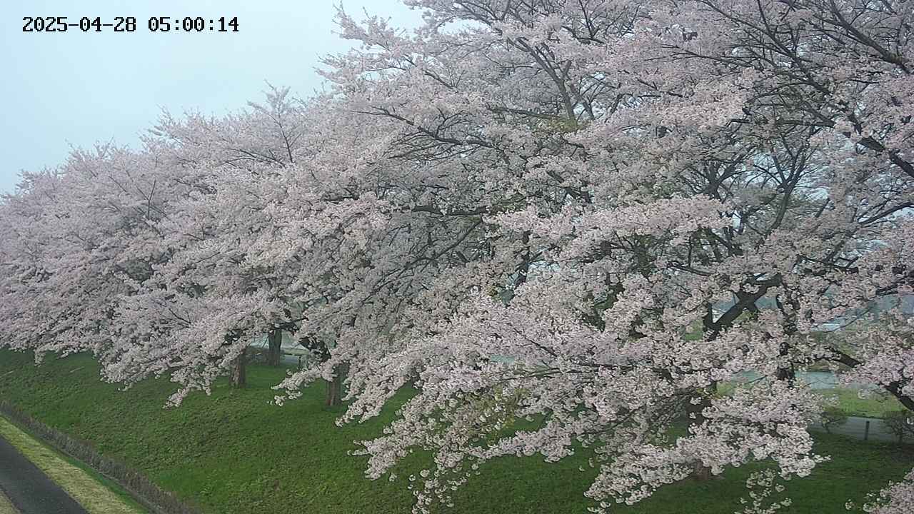 ochiai1-20250428050037.jpg