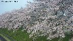 ochiai1-20250428053038.jpg