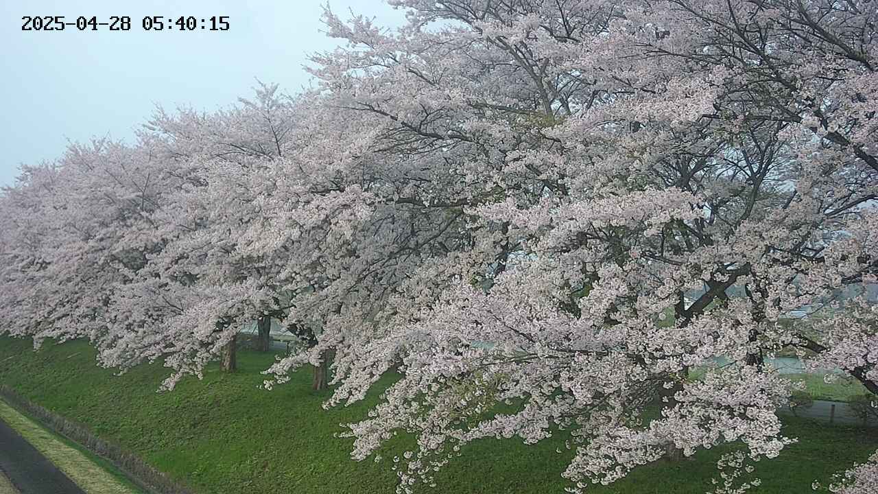 ochiai1-20250428054037.jpg