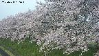 ochiai1-20250428055036.jpg