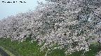 ochiai1-20250428062038.jpg