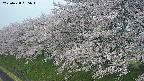 ochiai1-20250428065038.jpg