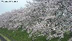 ochiai1-20250428070036.jpg