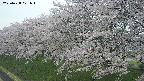 ochiai1-20250428071035.jpg