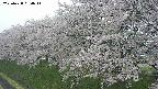 ochiai1-20250428094036.jpg