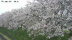 ochiai1-20250428135041.jpg