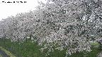 ochiai1-20250428142034.jpg