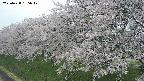 ochiai1-20250428165036.jpg