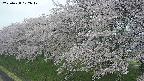 ochiai1-20250428172037.jpg