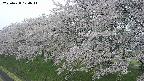 ochiai1-20250428174040.jpg