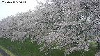ochiai1-20250428175036.jpg