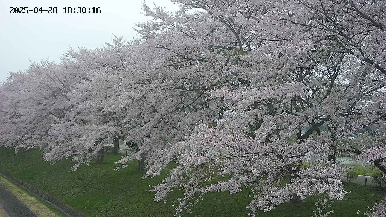 ochiai1-20250428183046.jpg