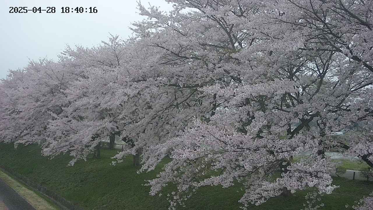 ochiai1-20250428184035.jpg