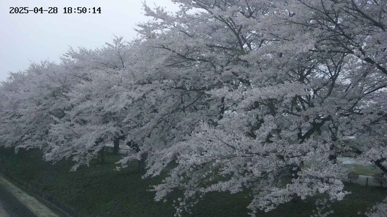 ochiai1-20250428185032.jpg