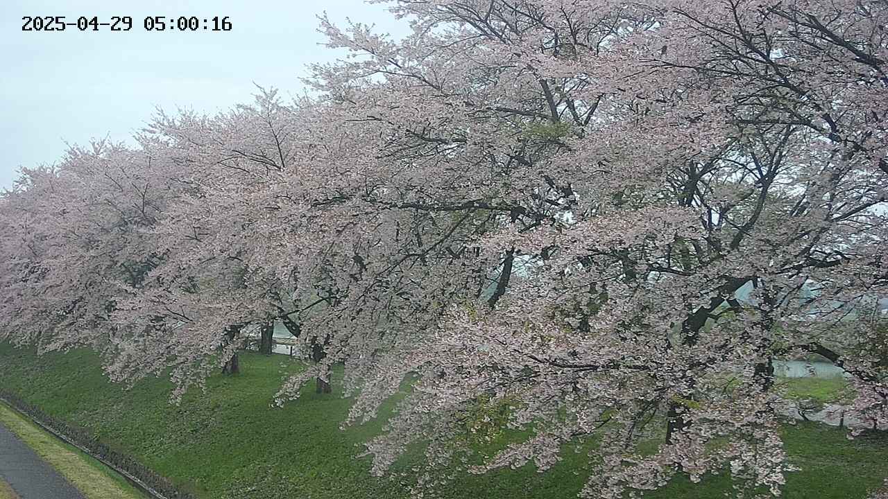 ochiai1-20250429050037.jpg