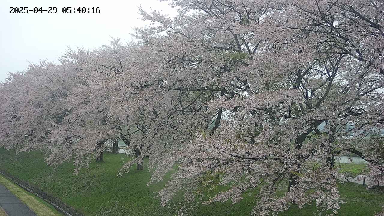 ochiai1-20250429054037.jpg