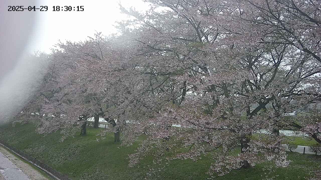 ochiai1-20250429183035.jpg