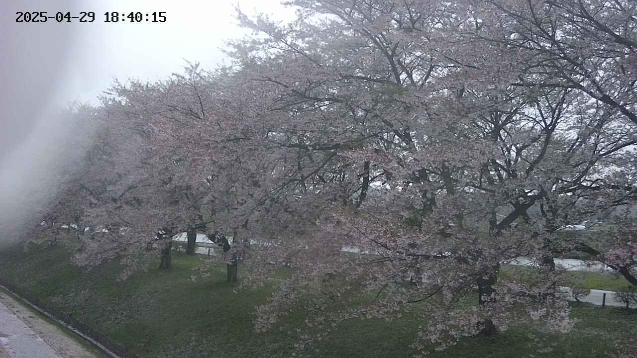 ochiai1-20250429184030.jpg