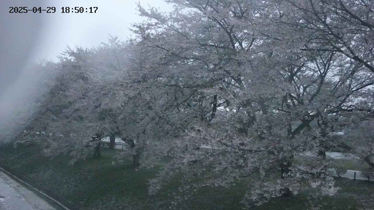 ochiai1-20250429185029.jpg