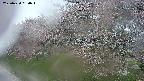 ochiai1-20250430050036.jpg