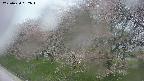 ochiai1-20250430052030.jpg