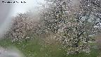 ochiai1-20250430071036.jpg