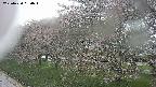 ochiai1-20250430080036.jpg