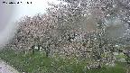 ochiai1-20250430081033.jpg