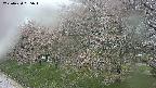 ochiai1-20250430085032.jpg