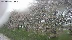 ochiai1-20250430090036.jpg