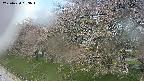 ochiai1-20250430093035.jpg