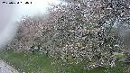 ochiai1-20250430094035.jpg