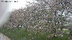 ochiai1-20250430095041.jpg