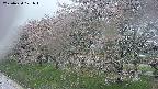 ochiai1-20250430101041.jpg