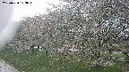 ochiai1-20250430103041.jpg