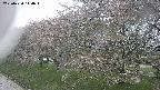 ochiai1-20250430110035.jpg