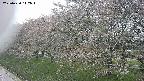 ochiai1-20250430112040.jpg