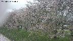 ochiai1-20250430114035.jpg