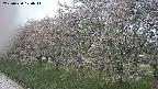 ochiai1-20250430120038.jpg