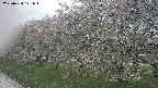 ochiai1-20250430121045.jpg